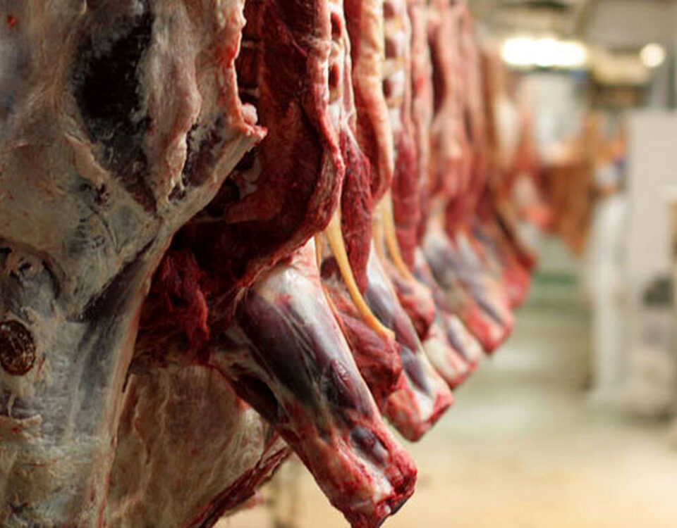 فرآورده‌های گوشتی معاف از مالیات ارزش‌افزوده شد